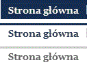 Strona główna